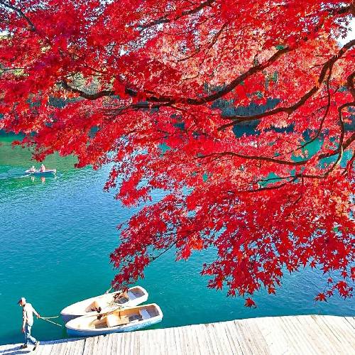 مهدی مولاد آخه خیانت کردی دس غریبه گردی